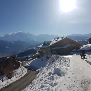  Chalet La Joubarbe Au Balcon Du Mont-blanc France